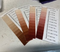 Skin tones for the Wooly Mason Jar Color Wheel dye system jars.
