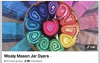 Wooly Mason Jar Dyers group